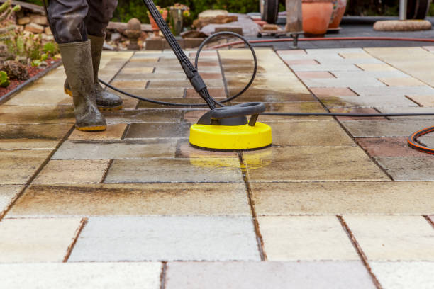 Best Warehouse Cleaning  in Caryville, TN