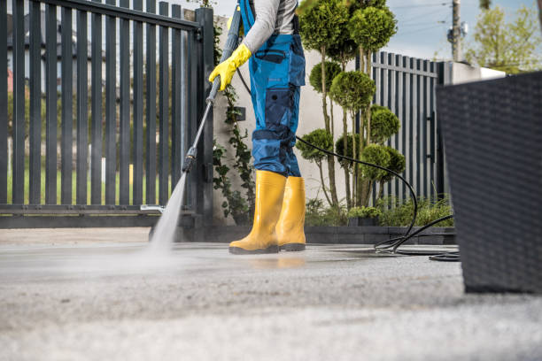 Best Dumpster Area Cleaning  in Caryville, TN